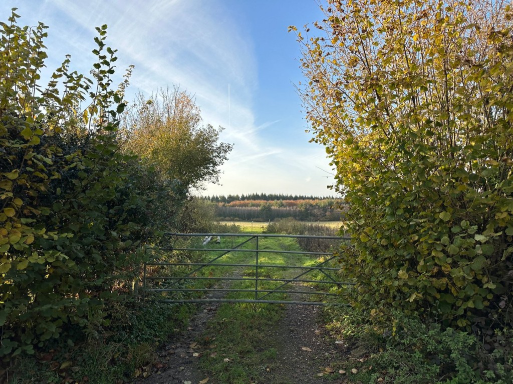 Lyminge, Folkestone, Kent, Farm Land